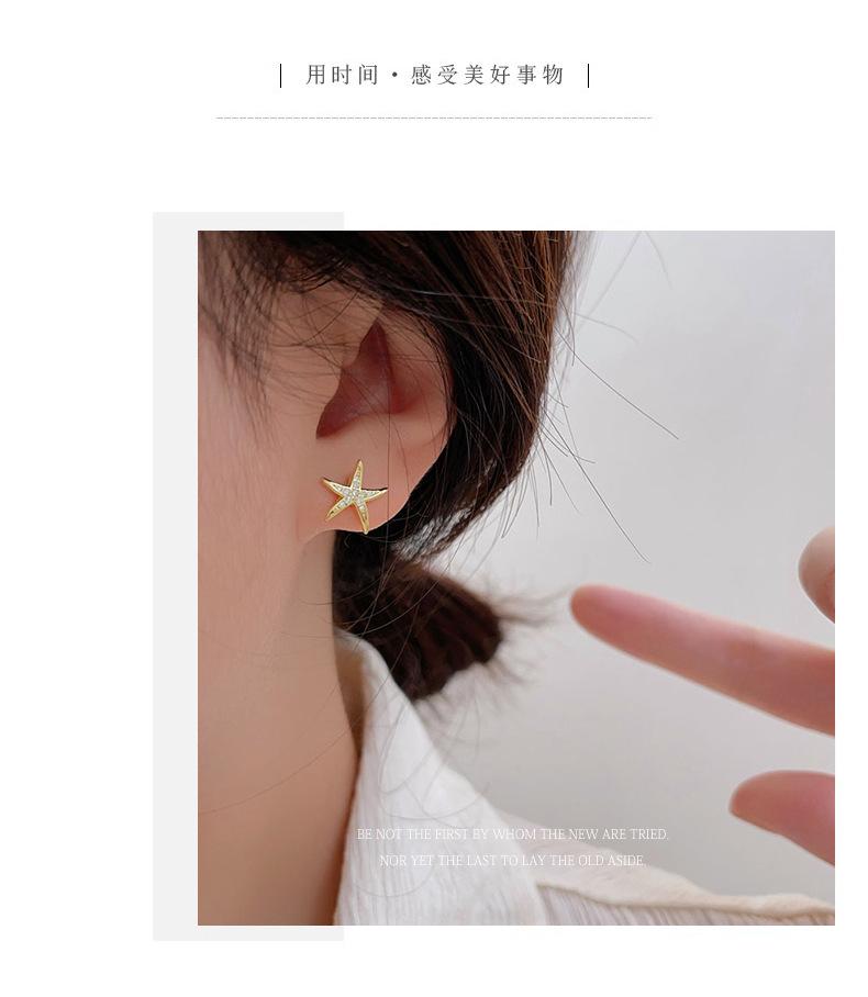 详情2023_06.png