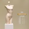 Suporte de Exibição para Manequim de Roupa Íntima Manequim Busto para Vitrine de Loja de Roupas Femininas Manequim de Exibição Molde de Sutiã para Roupa Íntima Masculina