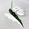Simulación de Producto Nuevo Transfronterizo Planta Verde Hoja Única de Alocasia Hoja de Begonia Color Hoja de Taro Planta Decorativa Pared Sala de Estar Decorativa Hoja Verde