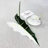 Planta Verde de Novo Produto Transfronteiriço Folha de Calla Folha de Begônia Folha de Taro Colorida Planta Guia de Corredor de Casamento Parede de Plantas Design Floral DIY