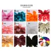 Lámpara de pie de plumas transfronteriza con un toque de alta gama para sala de estar y dormitorio, lámpara de noche estilo ins, lámpara de plumas decorativa para fondo de sofá y transmisión en vivo