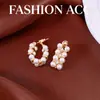 Pendientes de Zirconia y Perla Estilo Retro Francés Aguja de Plata, Lujo Ligero, Gama Alta, Pendientes Sencillos, Exquisitos, Modernos, Versátiles para Mujer