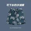Shorts de Playa para Hombres para Aguas Termales, Secado Rápido, Corte Holgado, Talla Grande, Shorts de Cinco Puntos para Interiores, Bañador para Vacaciones en la Costa