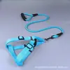 Nueva Correa para Perro Transfronteriza Correa de Nylon Arnés Fabricante Venta al por Mayor Suministros para Mascotas Correa para Perro Arnés