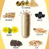 Cápsulas de Maca, Maca, Ashwagandha, Etc., 60 Cápsulas, Tk Amazon Comercio Exterior Exportación Personalizado Procesamiento OEM