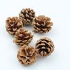 Pinhão natural de Natal 3-18cm decoração de pinhão natural pingente de árvore de Natal fabricantes de acessórios de madeira atacado