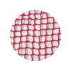 Red Protectora para Cancha de Fútbol y Baloncesto Venta al por Mayor Red Decorativa de Aislamiento Colorida para Parques Infantiles Valla de Nylon sin Nudos