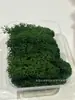 Musgo de Reno Preservado Flor Seca DIY Paisajismo Micro Paisaje, Botella Ecológica, Planta en Maceta de Vidrio, Cubierta de Suelo para Bonsái