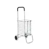 Carrito de compras Fuente de fábrica Carrito de supermercado Plegable Escalada Aleación de aluminio Portátil Carrito pequeño Carrito de compras para ancianos