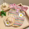 Colete Protetor Solar Fino para Cães Pequenos Bichon Teddy com Capuz Primavera e Verão Roupas para Cães de Estimação Roupas para Gatos Venda por Atacado