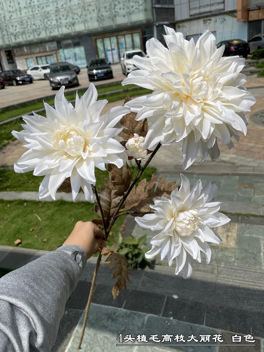微信图片_20210519182315_副本.jpg