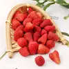 Envío Gratis Venta al por Mayor Fresas Liofilizadas Snacks de Oficina Crujientes de Fresa Granel 500g Fresas Enteras Liofilizadas