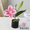 Novo produto: Uma Flor, Um Fruto, Pequeno Bonsai de Lírio, Planta Artificial de Flor para Estudo Interno, Decoração de Mesa de Escritório