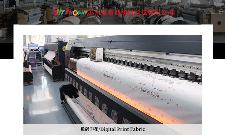 工厂介绍SHYBROWN_01