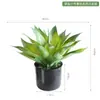Suculenta Verde de Agave Simulada em Vaso Planta Verde Bonsai Decorações de Mesa Ornamentos Casa Loja Janela Paisagismo Plantas em Vaso