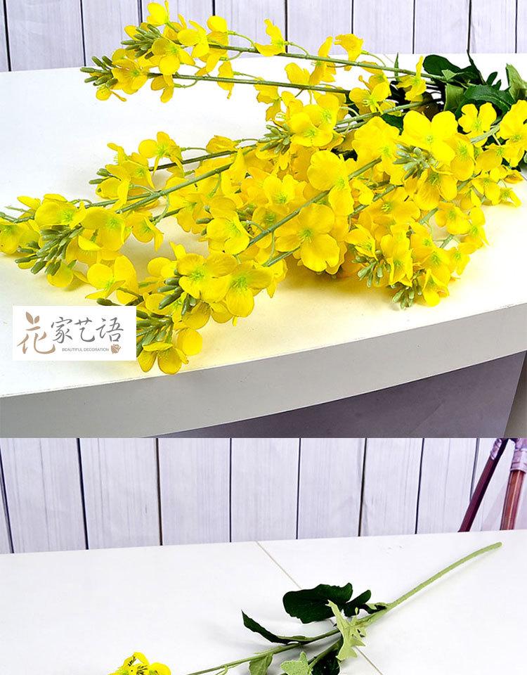 未标题-1_05.jpg