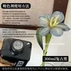 Colorante para flores, absorbente de color para rosas, solución absorbente de color, tinte, colorante para ramos y floristerías