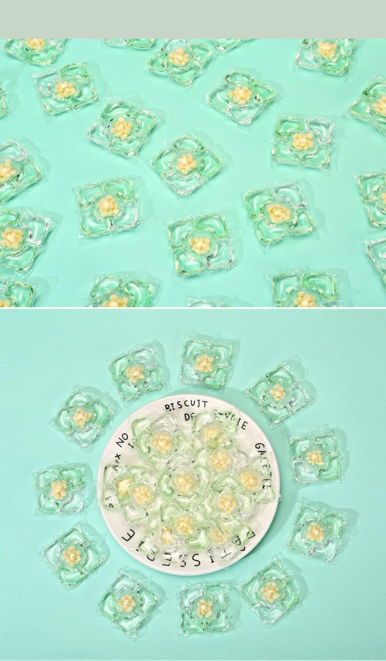 山茶花