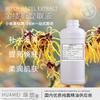 [Líquido de Extração] Extrato de Hamamélis Líquido Essência Cosméticos para Cuidados com a Pele Ingredientes DIY Extrato de Hamamélis Líquido