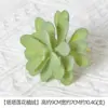 Plantación de Bonsái de Suculentas Simuladas Cuidadosamente Seleccionadas Mini Accesorios de Suculentas Falsas Terciopelo Plantas Verdes Decoración del Hogar DIY Adornos