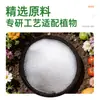Fertilizante para Flores de Fosfato Monopotásico, Fertilizante General para Plantas Soluble en Agua, Fertilizante para Flores de Árbol de Osmanto para Plantas en Maceta Caseras, Fertilizante Especial de Fósforo y Potasio