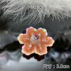 Adesivos de tecido com remendo de flores artesanais costurados à mão, roupas, sapatos e chapéus, acessórios decorativos, lantejoulas de cristal, flores pequenas e fofas