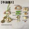 Kit de material DIY para fazer um móbile de casca de fruta, um sino pendurado de cura, com frutas pretas indonésias, estramônio, lírio d'água e rotim