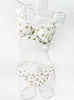 Comércio exterior busto grande aparência pequena anti-queda sexy lingerie malha floral pequena conjunto de duas peças sexy transparente