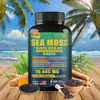 Transfronterizo en stock venta caliente Amazon cápsula de algas marinas cápsulas de algas marinas fábrica de origen personalizado OE M