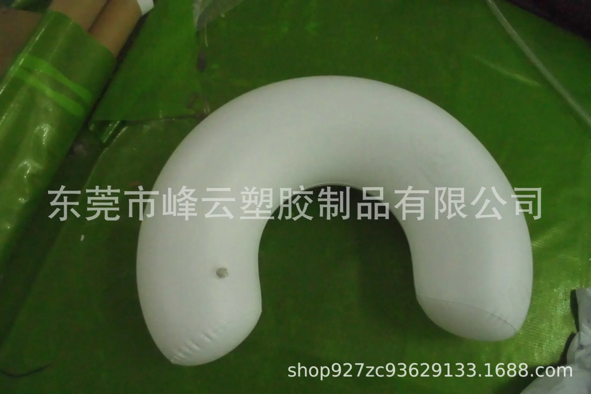 CIMG1530
