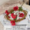 Libro Rojo Pequeño Explosión Simulación Flor 5 Horquillas Orquídea Pájaro Flor Falsa Hierba Semilla Negra Camino de Boda Guía Florero Escenario T Decoración Arreglo Floral Diseño de Habitación de Boda