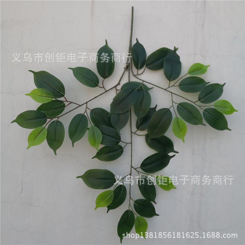 QQ图片20180428151112.jpg