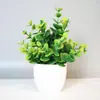 Venda Quente Transfronteiriça Planta de Simulação Planta Falsa Planta Verde Decoração de Interior e Exterior Eucalipto de Vaso de Plástico Pequena Planta de Vaso