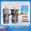 Motor reductor de velocidad variable ajustable de baja velocidad AC positivo y reverso 120W freno monofásico 220V trifásico 380V