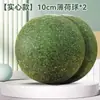 Brinquedo para gato bola de catnip, gigante 10cm, super durável, entretenimento próprio para espantar o tédio, brinquedo natural de catnip para pet