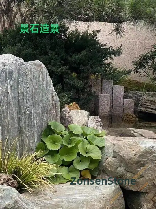 17721448428484336552_详情图.jpg