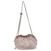 Bolsa de Hombro Cruzada Pequeña Plisada Nube de Verano Más Vendida de Nicho para Mujer 2025 Nueva de Moda Versátil con Cadena