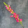 Flores artificiais de alta qualidade como a Flor Sino do Vento de Galho Alto para decoração de casa, arranjos de casamento e adereços. Venda por atacado de ornamentos de flores artificiais transfronteiriços