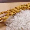 Xianggufang Arroz Komachi Arroz 0,5kg Pacote Conveniente, Qualidade Consistente, uma Escolha Segura para Toda a Família, 500g Arroz Novo