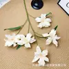 5 Flores de Lirio Artificiales para Arreglos Florales de Techo Alto, Decoración de Hotel, Flores Artificiales, Venta al por Mayor desde Fabricante, Arte Floral Color Champaña