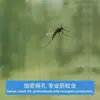 Cortina de Porta à Prova de Mosquitos Doméstica de Verão com Listras, Magnética, Sem Furos, Autoadesiva, Cortina de Porta Magnética à Prova de Mosquitos para Quarto