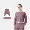 [Em Estoque] Moletom Curto Ld Air Outono Esportes ao Ar Livre para Mulheres Emagrecedor Casual Solto Gola Alta Moletom