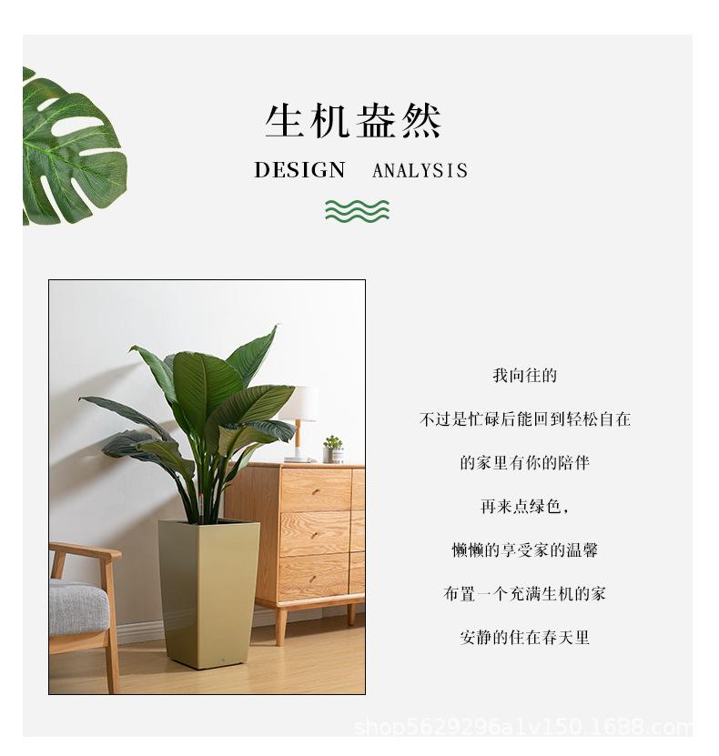 花盆_03.jpg