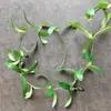 Enredaderas Simuladas de Frutos de Olivo, Árboles Artificiales para Paisajismo, Decoración de Plantas Verdes Transfronteriza al por Mayor