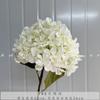 Simulación de 192 piezas de pétalos rotos de hortensia para boda, hortensia boutique blanca verde, hortensia suave para jardín casero