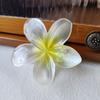 Europa y Estados Unidos horquilla bauhinia color perla transfronteriza flor degradada clip tiburón al mismo tiempo en el plato horquilla para el cabello flores grandes