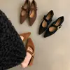 Zapatos de tacón de cuña retro de punta fina poco profundos para mujer, nuevos zapatos Mary Jane elegantes de estilo coreano francés de primavera y otoño para combinar con faldas para ir al trabajo
