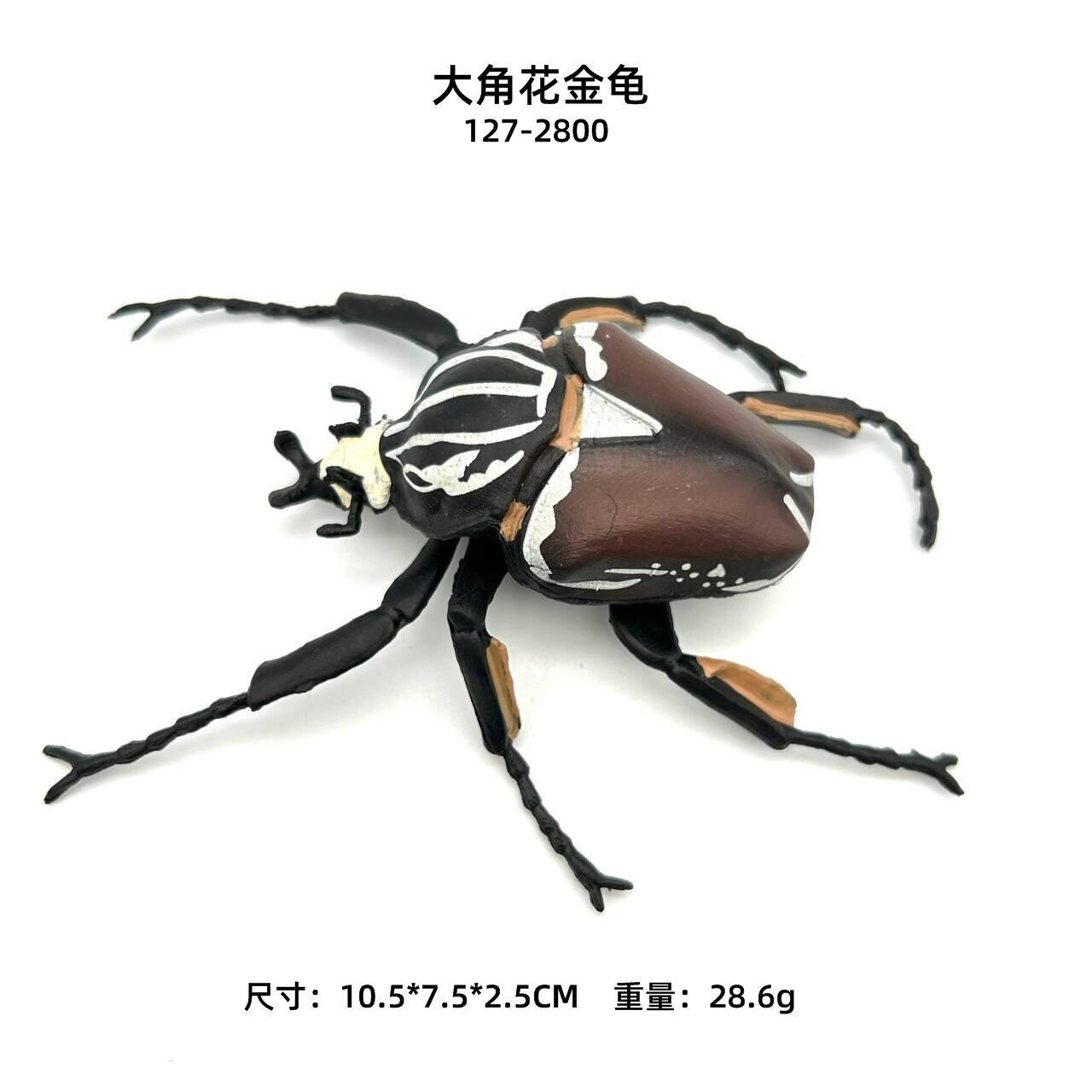2尺寸