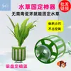 Anillo Fijador para Plantas Acuáticas Ventosa Cesta de Plantación Juego de Tres Piezas Esponja para Plantar Plantas Acuáticas Cesta de Plantación Grande Tanque de Peces Paisajismo Taza de Césped
