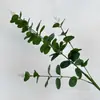 Dinero deja 5 tenedores 7 tenedores hojas de eucalipto hojas de camelia planta verde planta verde de casa fábrica mayorista